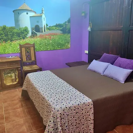 Casa Conesa Ii * Tronchon